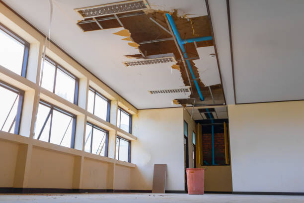 Best Water damage cleanup near me  in White Horse, NJ