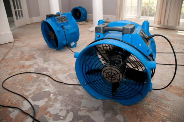 Best Flood damage cleanup  in White Horse, NJ