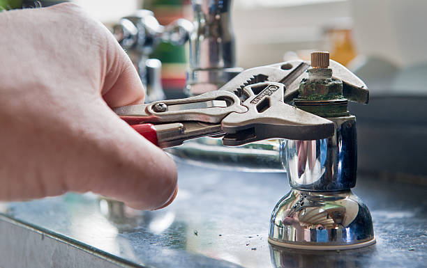 Best Water damage mitigation services  in White Horse, NJ