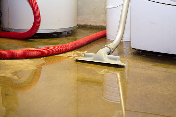 Sewage cleanup and water damage restoration in NJ