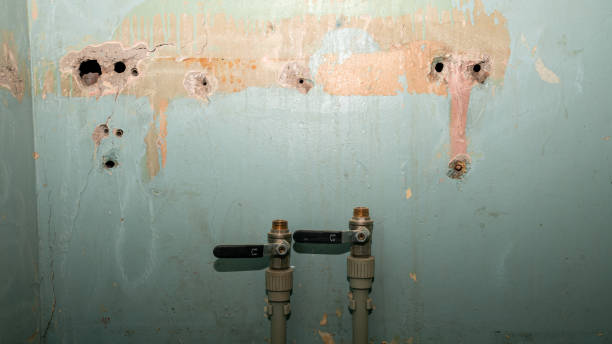 Best Flooded house restoration  in White Horse, NJ