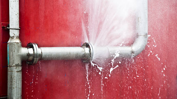 Best Water damage restoration mold remediation  in White Horse, NJ